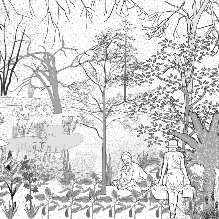 Gsen Competition 2020-21- Edible Landscape for the public realm