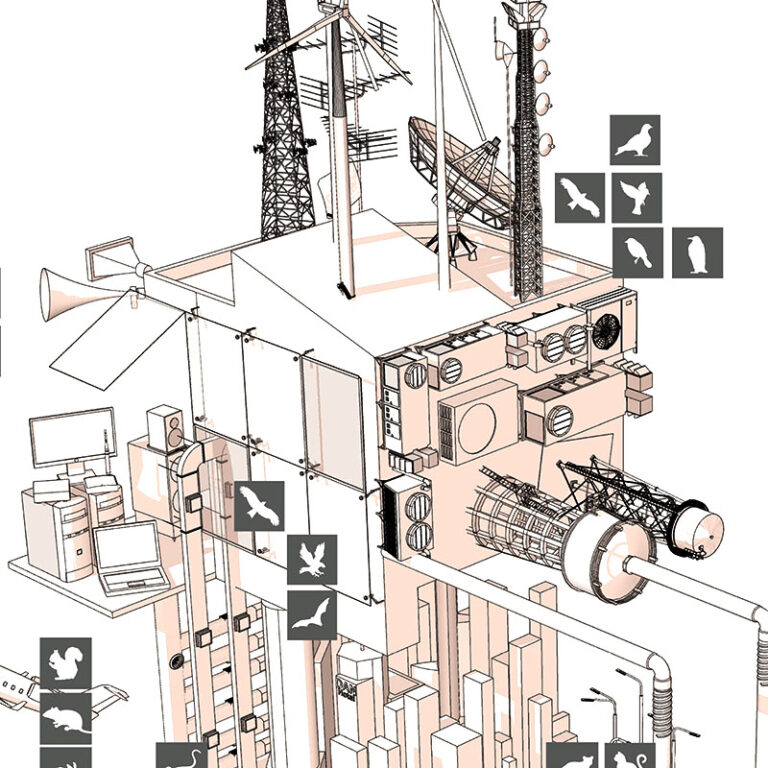 The urban wild slaughterhouse (Citation, NASA, 2022)