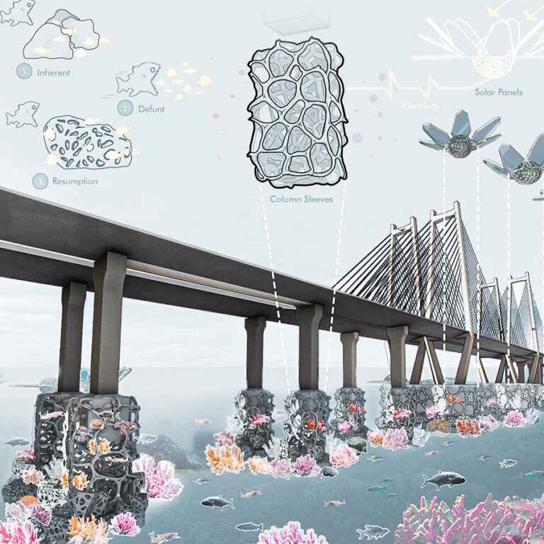 Ample again, replenished bounties of the sea (Special Mention, NASA, 2022)