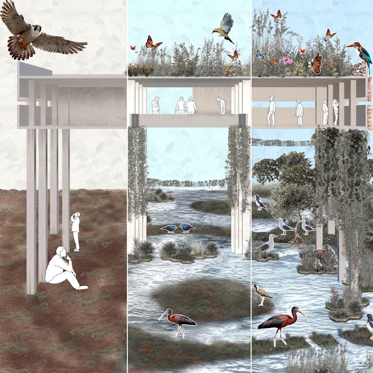 Redefining Ecological Territory (Special Mention, NASA, 2022)