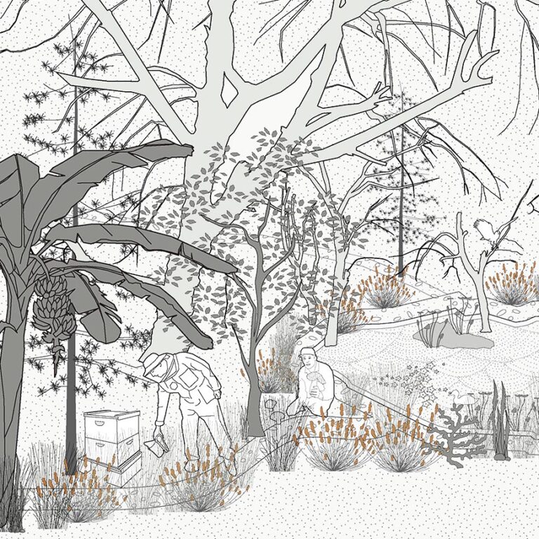 Unit Brief: Eco-warriors [edible to productive landscapes]