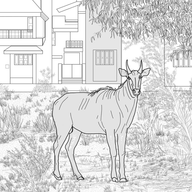 Unit Brief: Eco Warriors 2022