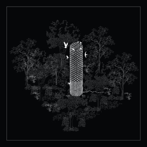 Biodiver-City : Wilderness in the backyards